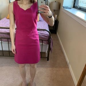 The Limited pink/fuchsia scalloped neck dress